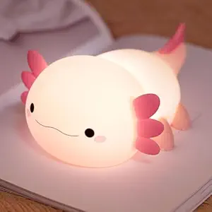 Touch Lamp